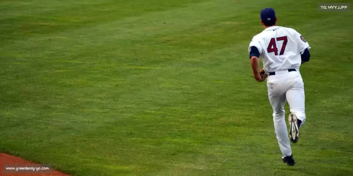 行业领先的理由